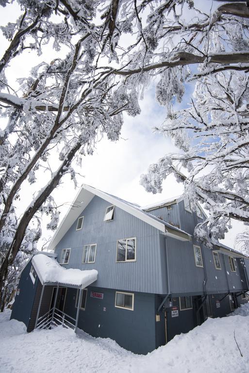 Terama Ski Lodge Маунт Булер Екстериор снимка